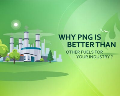 Why PNG is better than other fuels for your industry?