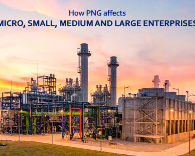 How PNG affects Micro, Small, Medium, and Large Enterprises
