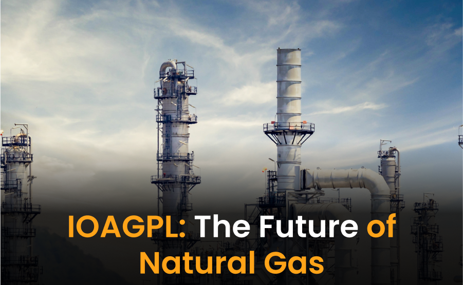 The Future of Natural Gas